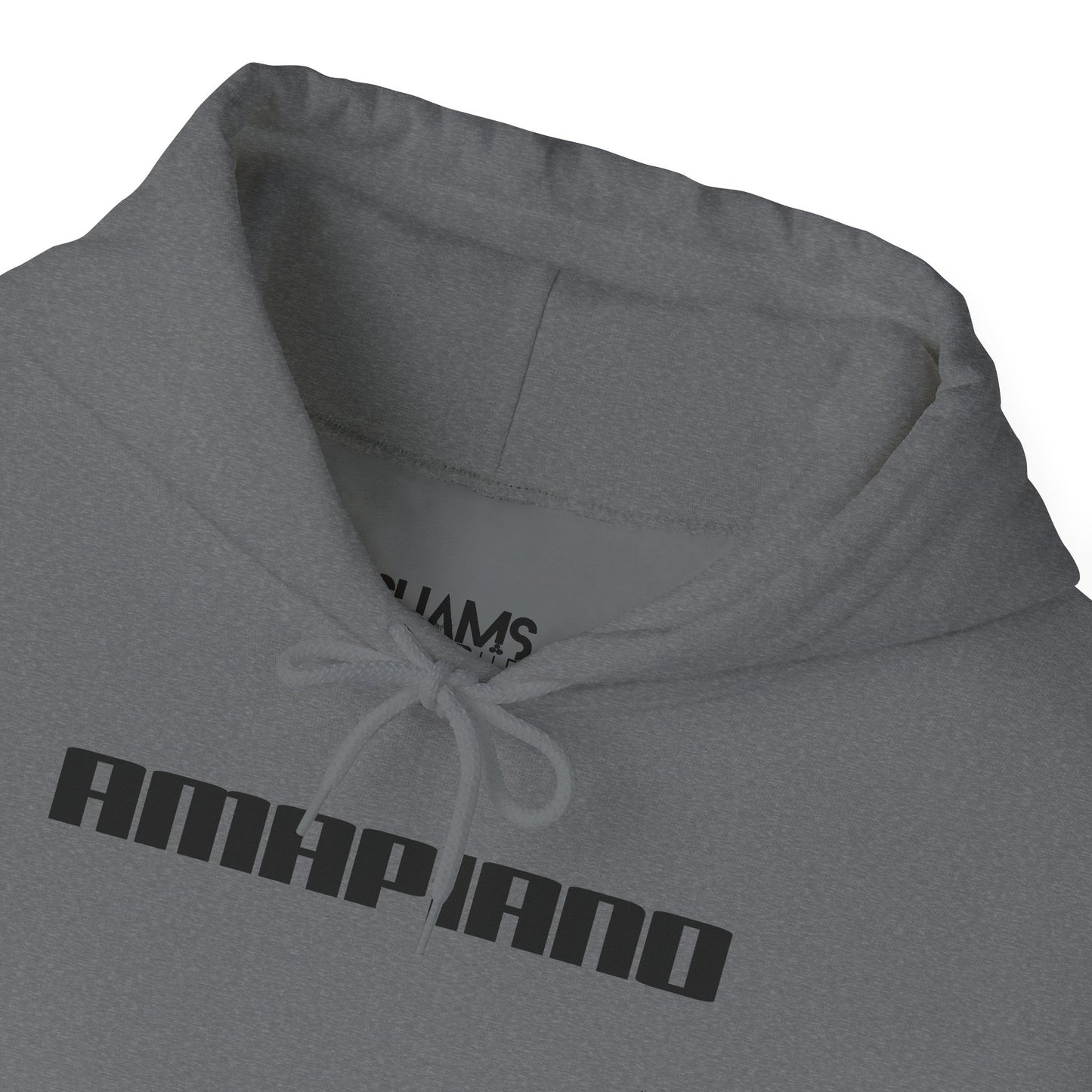 Unisex Heavy Hooded Sweatshirt: Amapiano