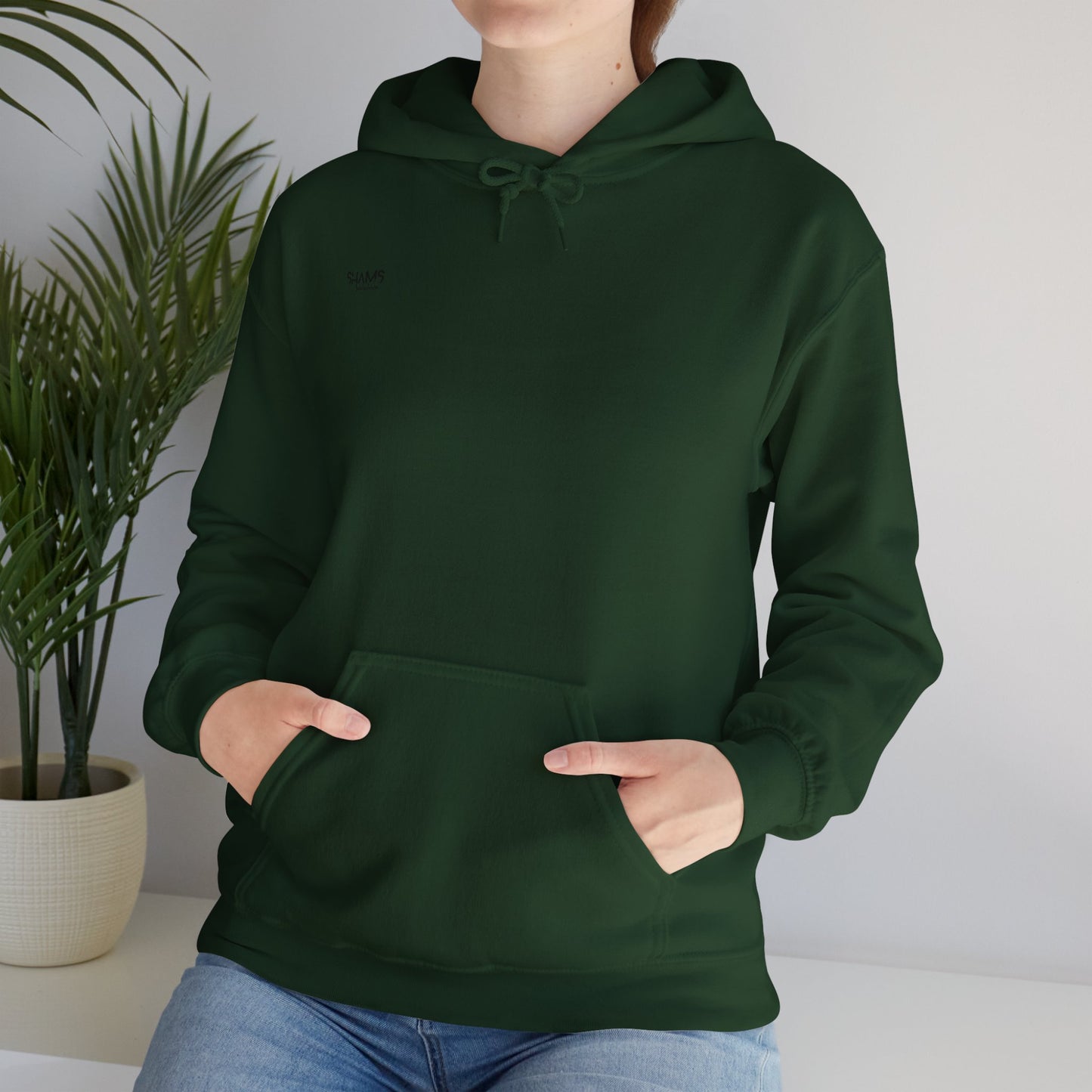 Unisex Heavy Hooded Sweatshirt: Vibe