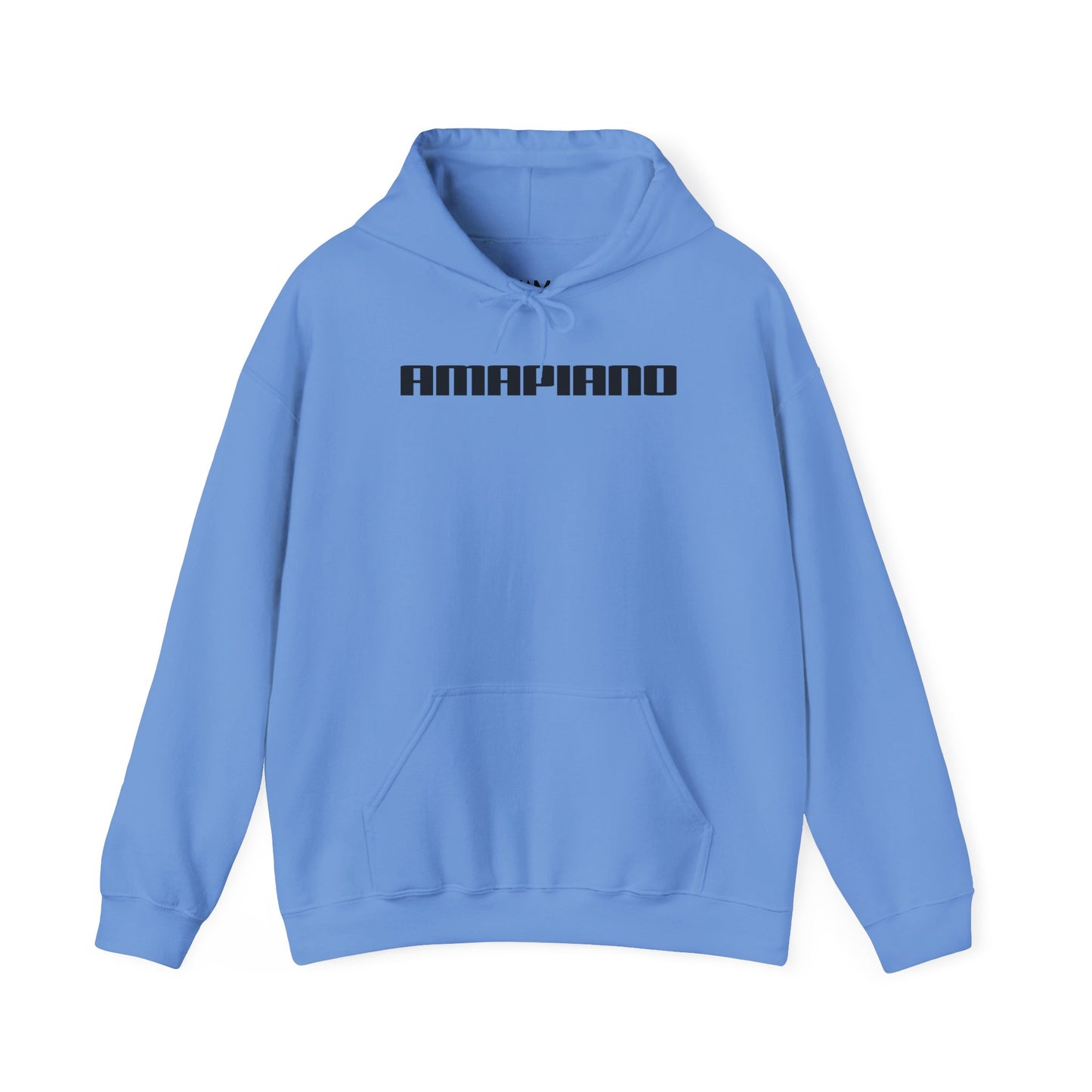 Unisex Heavy Hooded Sweatshirt: Amapiano