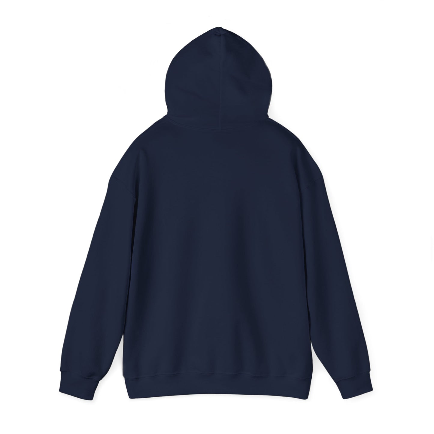 Unisex Heavy Hooded Sweatshirt: The journey