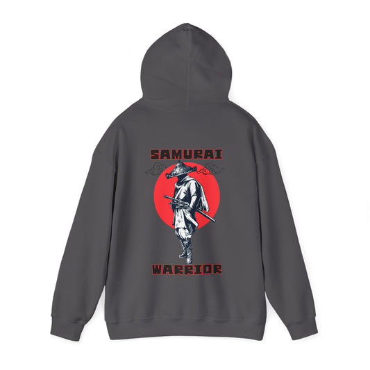 Samurai warrior hoodie.